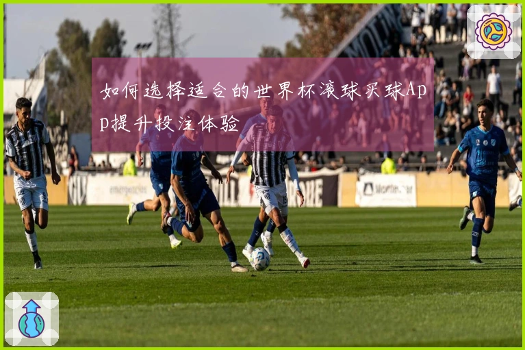如何选择适合的世界杯滚球买球App提升投注体验