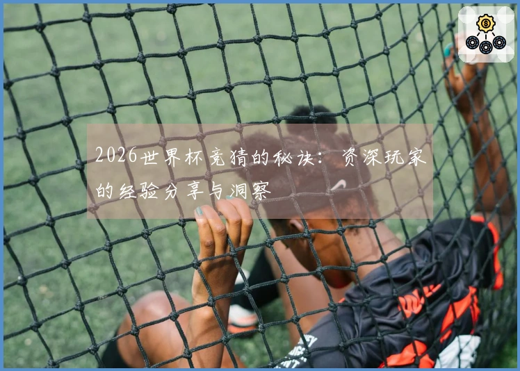 2026世界杯竞猜的秘诀：资深玩家的经验分享与洞察