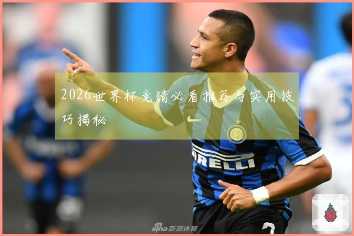 2026世界杯竞猜必看推荐与实用技巧揭秘