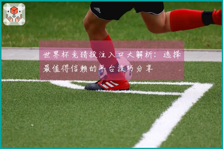 世界杯竞猜投注入口大解析：选择最值得信赖的平台技巧分享
