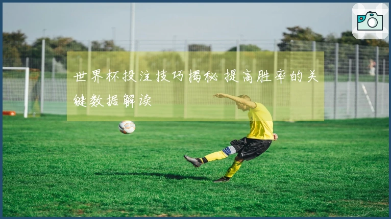世界杯投注技巧揭秘 提高胜率的关键数据解读