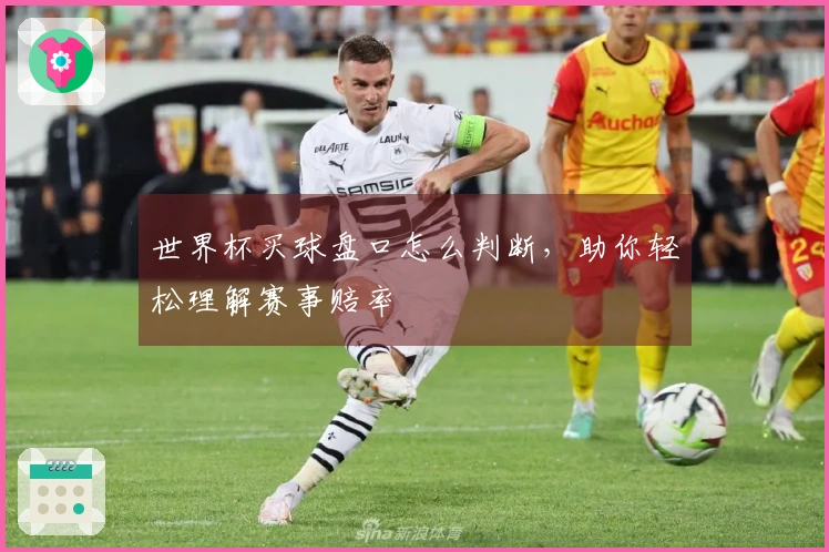 世界杯买球盘口怎么判断，助你轻松理解赛事赔率