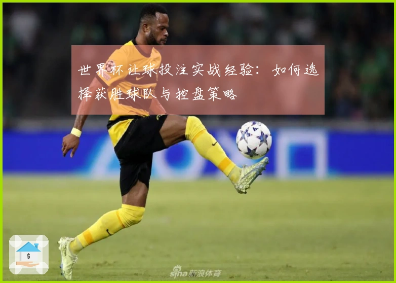世界杯让球投注实战经验：如何选择获胜球队与控盘策略