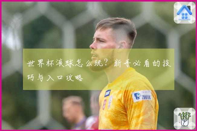 世界杯滚球怎么玩？新手必看的技巧与入口攻略