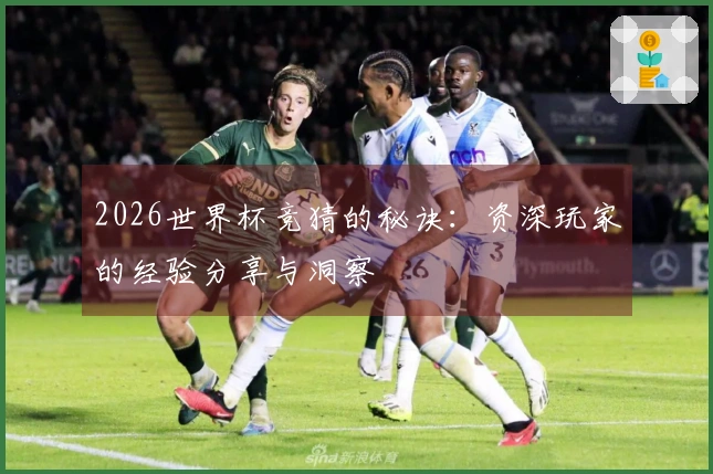 2026世界杯竞猜的秘诀：资深玩家的经验分享与洞察
