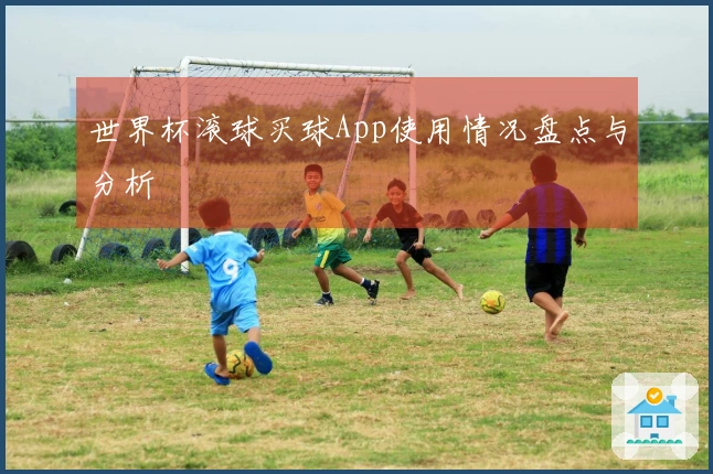 世界杯滚球买球App使用情况盘点与分析